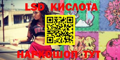 прущие грибы Краснодар