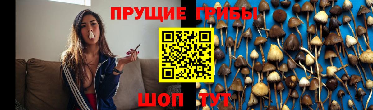 продажа наркотиков  Вход с VPN  Ярцево  Псилоцибиновые грибы MAGIC MUSHROOMS 